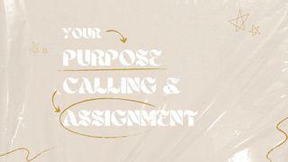 Your New Purpose, Calling, and Assignment Colossians 3:10 New International Version