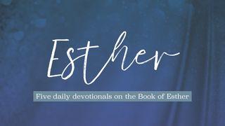 Esther: Seeing Our Invisible God in an Uncertain World எஸ்தர் 2:15 பரிசுத்த வேதாகமம் O.V. (BSI)