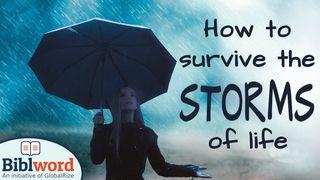 How to Survive the Storms of Life Mark 3:11 Taupota