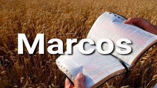 Marcos en 10 Versículos Marcos 2:27 La Biblia de las Américas