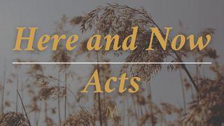 Here and Now Acts 17:25-28 New American Standard Bible - NASB 1995