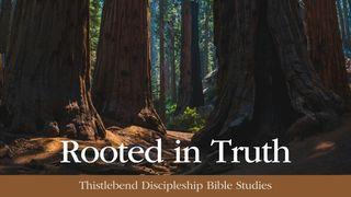 Rooted in Truth: A Devotion in the Ten Commandments Deuteronomium 5:19 NBG-vertaling 1951