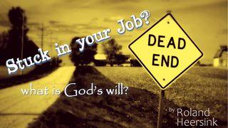 Stuck in Your Job? …What About God’s Plan? Exodus 2:11-12 Contemporary English Version (Anglicised) 2012