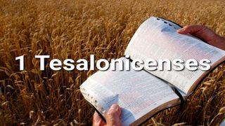 1 Tesalonicenses en 10 Versículos 1 Tesalonicenses 1:7 Biblia Dios Habla Hoy