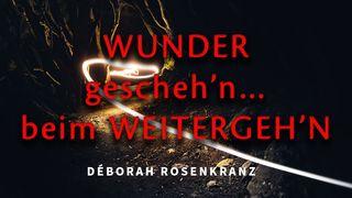 Wunder gescheh‘n… beim Weitergeh‘n! Matthäus 8:8 Albrecht NT und Psalmen