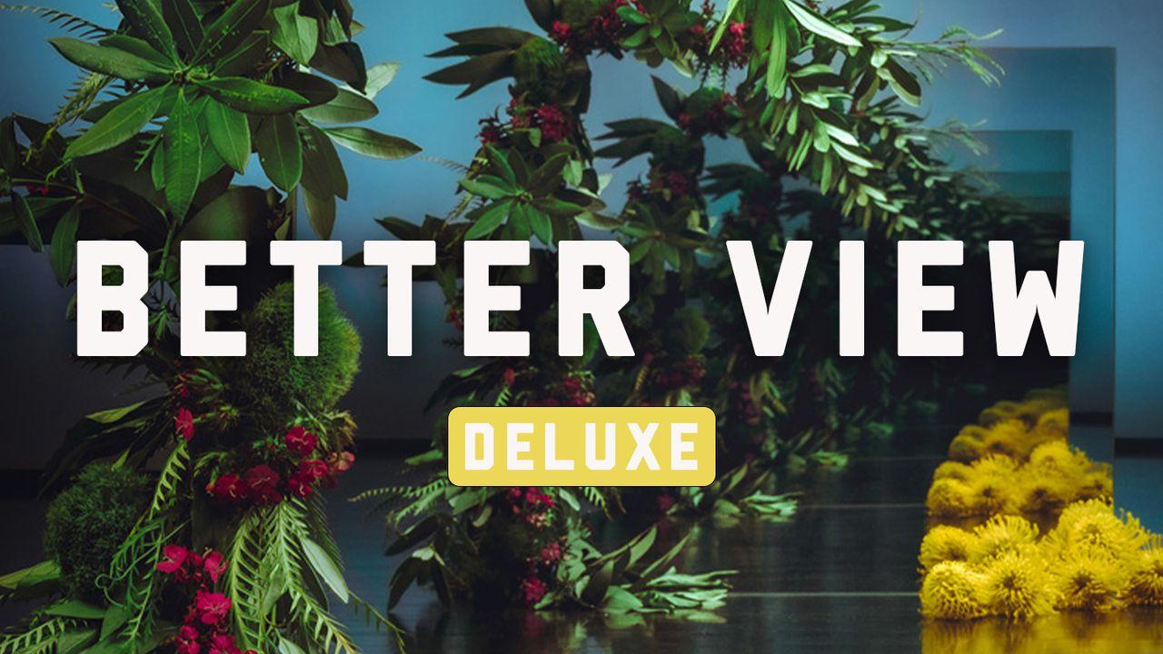 Better View Deluxe