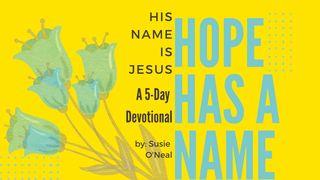 Hope Has a Name: His Name Is Jesus Nahum 1:3 Het Boek