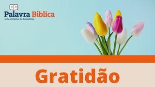 Gratidão SALMOS 69:13-18 a BÍBLIA para todos Edição Católica