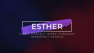 Esther: God's Perfect Work Through Imperfect People எஸ்தர் 8:17 இந்திய சமகால தமிழ் மொழிப்பெயர்ப்பு 2022