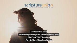 The Essential Jesus (Part 13): More Miracles of Jesus Luke 5:17-20 New International Version