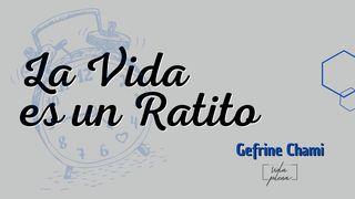 La Vida Es Un Ratito মথিঃ 6:14 সত্যবেদঃ। Sanskrit Bible (NT) in Bengali Script