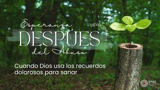 Esperanza después del abuso Salmos 119:50 Nueva Traducción Viviente