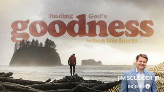 Finding God's Goodness When Life Hurts Luka 12:7 Aka (Hrusso) Bible