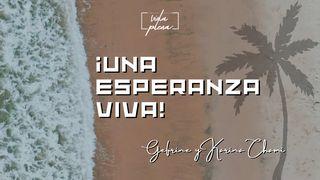 Una esperanza viva Romanos 4:16 Biblia Dios Habla Hoy