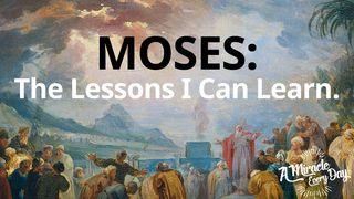 Moses: The Lessons I Can Learn 4. Mosebog 14:11 Bibelen på Hverdagsdansk