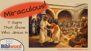 Miraculous! Seven Signs That Show Who Jesus Is Mark 3:11 Taupota