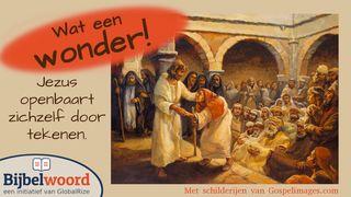 Wat Een Wonder! Jezus Openbaart Zichzelf Door Tekenen Jesaja 35:6 Statenvertaling (Importantia edition)