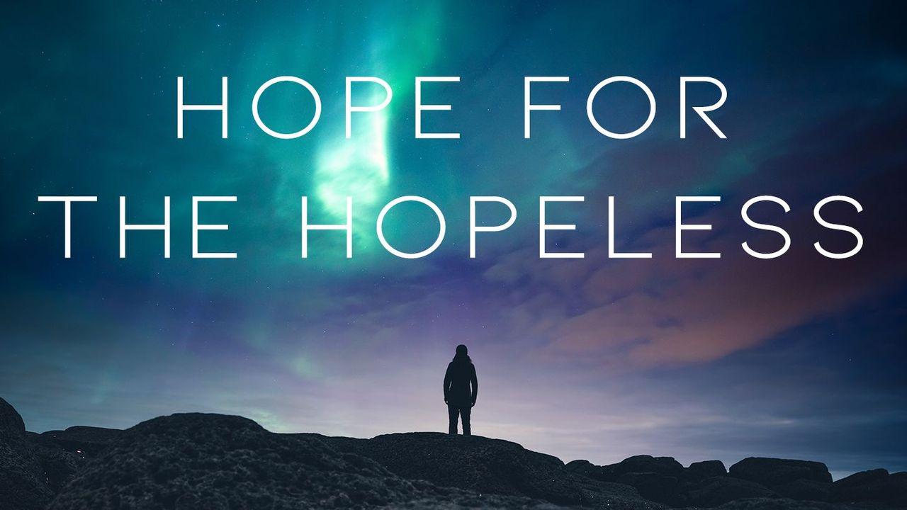 Hope in Times of Hopelessness