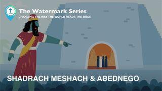 Watermark Gospel | Shadrach, Meshach & Abednego Daniel 3:16-18 Beibl William Morgan - Argraffiad 1955