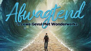 Afwagtend - 'N Lewe Gevul Met Wonderwerke JOHANNES 1:4 Afrikaans 1983