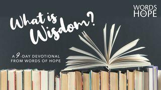 What Is Wisdom? Juízes 21:25 Nova Almeida Atualizada