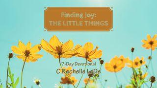 Finding Joy: The Little Things Psalm 135:3 Herziene Statenvertaling