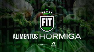 [Fit] Alimentos Hormiga Matew 4:4 Nadëb