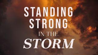 Standing Strong in the Storm Genesis 35:9-11 Contemporary English Version (Anglicised) 2012