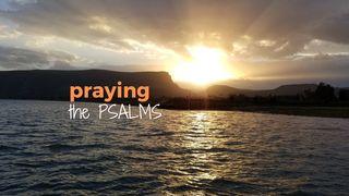 Praying the Psalms Salmos 35:27 Almeida Revista e Corrigida