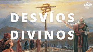 Desvíos Divinos Apocalipsis 21:5 Nueva Traducción Viviente