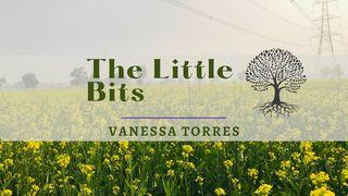 The Little Bits 福音一依馬太 13:8 湛約翰－韶瑪亭文理《新約全書》