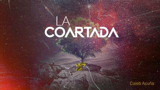 La Coartada Juan 10:11 Nueva Versión Internacional - Español