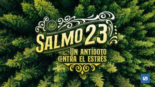 El Salmo 23 Un Antídoto Contra El Estrés Psalms 23:4 Kushti Bokkengro 1985