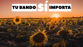 Tu Bando Sí Importa MATEO 7:13-29 La Palabra (versión española)