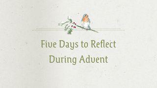 Heaven and Nature Sing: 5 Days to Reflect During Advent ஏசாயா தீர்க்கதரிசியின் புத்தகம் 11:2-3 பரிசுத்த பைபிள்