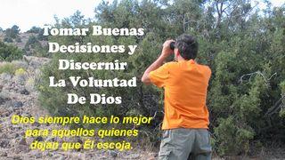 Cómo Tomar Buenas Decisiones, Y Discernir La Voluntad De Dios Hebreos 5:14 Reina Valera Contemporánea