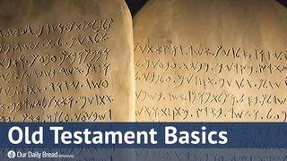 Our Daily Bread University – Old Testament Basics Ecclesiastes 12:7 New Living Translation