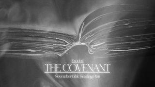 Exodus: The Covenant De Openbaring van Johannes 11:3 Statenvertaling (Importantia edition)