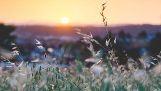 HERRENS högtider - hösthögtiderna Johannesevangeliet 7:18 Svenska Folkbibeln