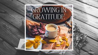 Growing in Gratitude Luk 17:15-16 Takia