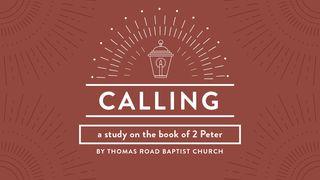 Calling: A Study in 2 Peter 2 Peter 2:4-11 New International Version