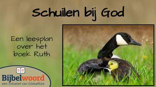 Schuilen Bij God. Het Verhaal Van Ruth Psalmen 96:2 Het Boek