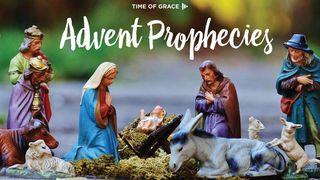 Advent Prophecies: Video Devotions From Your Time Of Grace Micah 5:2 New International Version