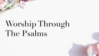 Worship Through the Psalms Psalms 34:1-14 New International Version