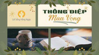 Thông Điệp Mùa Vọng Mateo 1:20 I ʼUtz Laj Tzij Re I Dios