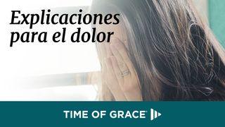 Explicaciones para el dolor Job 38:4 La Biblia de las Américas