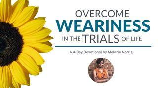 Overcome Weariness in the Trials of Life a 4-Day Devotional by Melanie Norris Luka 22:42 Miriam Mer Gospels 1902