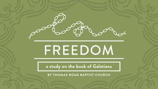 Freedom: A Study in Galatians Galatians 3:1-3 New International Version