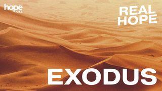 Real Hope: A Study in Exodus Andra Moseboken 40:34-35 Svenska Folkbibeln