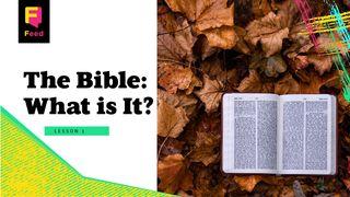 The Bible. What Is It?  Psalms 139:1-16 New International Version